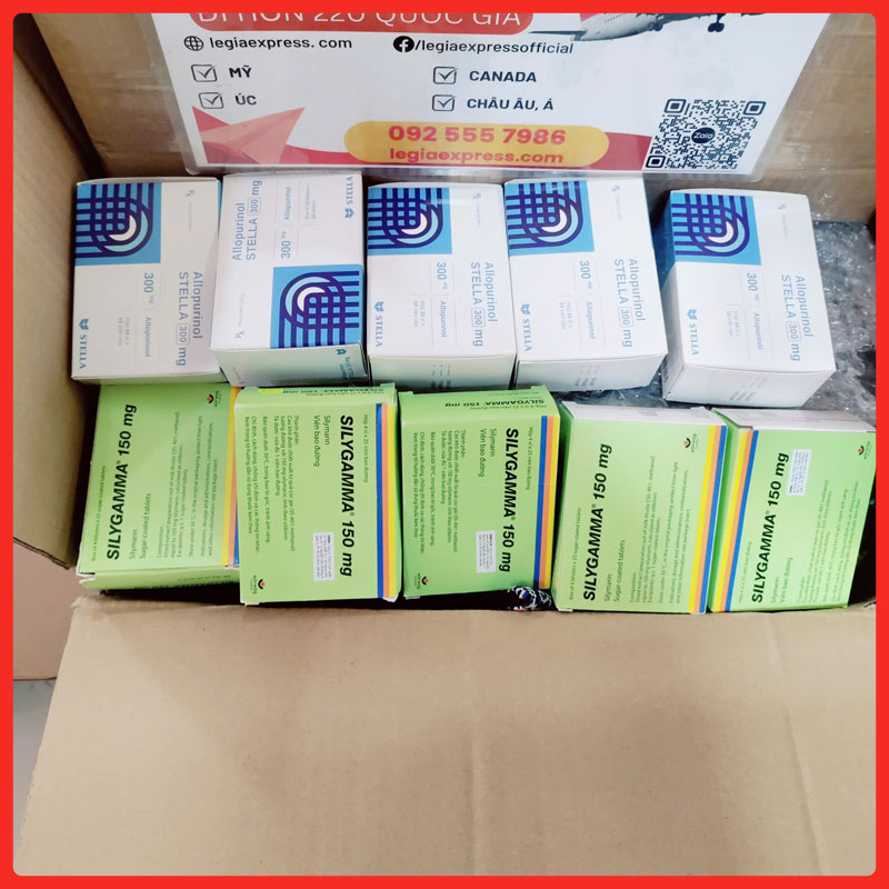 gui-thuoc-tay-di-uc-legiaexpress-14