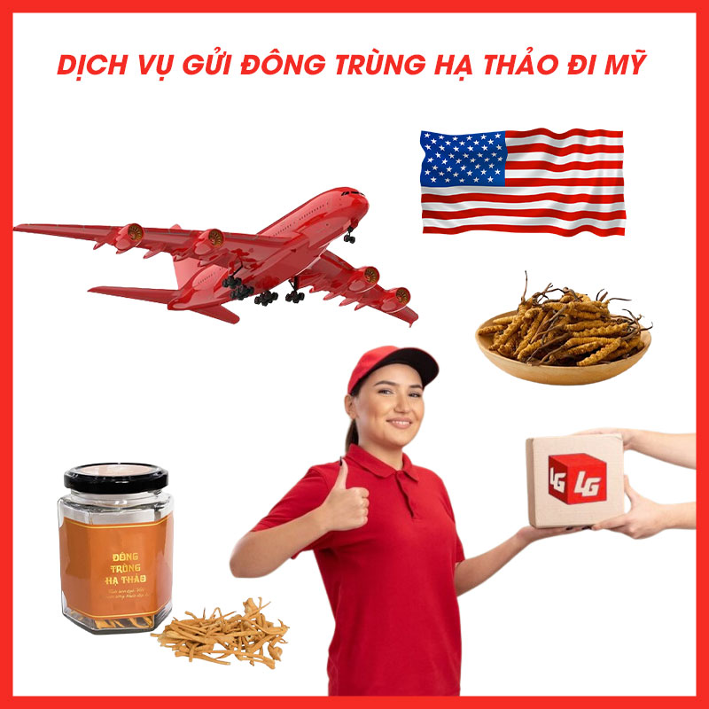 Gửi-đông-trùng-hạ-thảo-đi-mỹ-legiaexpress-2