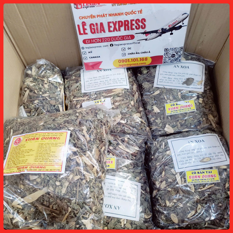 gui-thuoc-dong-y-di-my-legiaexpress-10