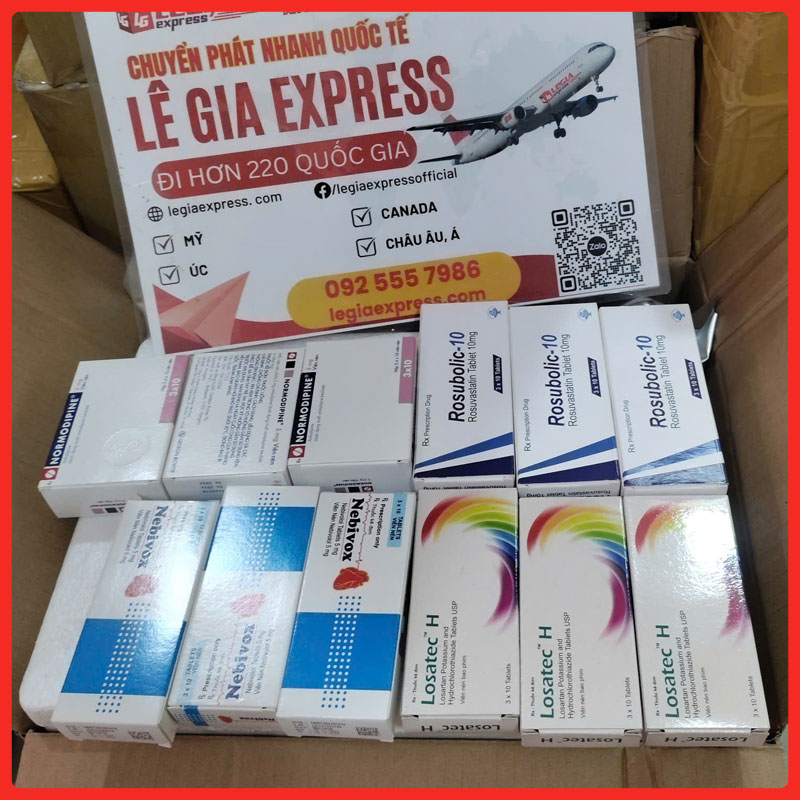 gui-do-tu-viet-nam-sang-nhat-bang-duong-bien-legiaexpress-5