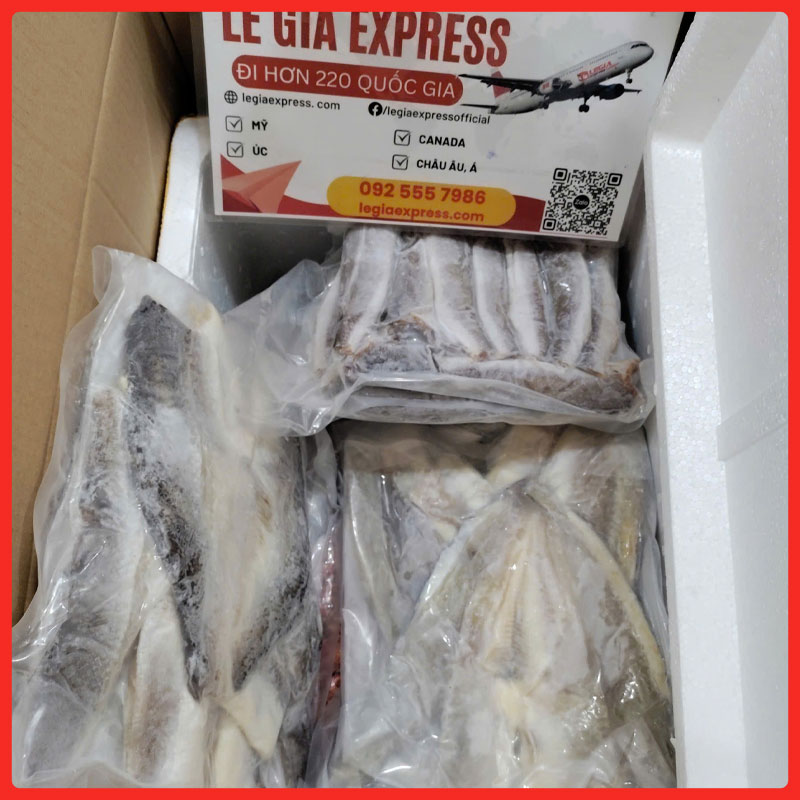 gui-hai-san-kho-di-uc-legiaexpress-3