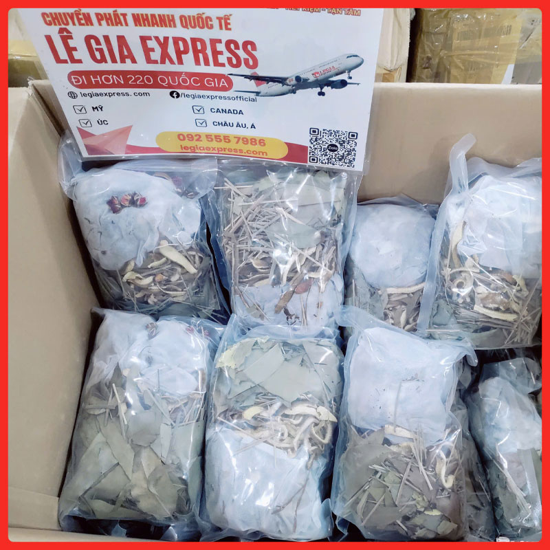 gui-thuoc-dong-y-di-canada-legiaexpress-5