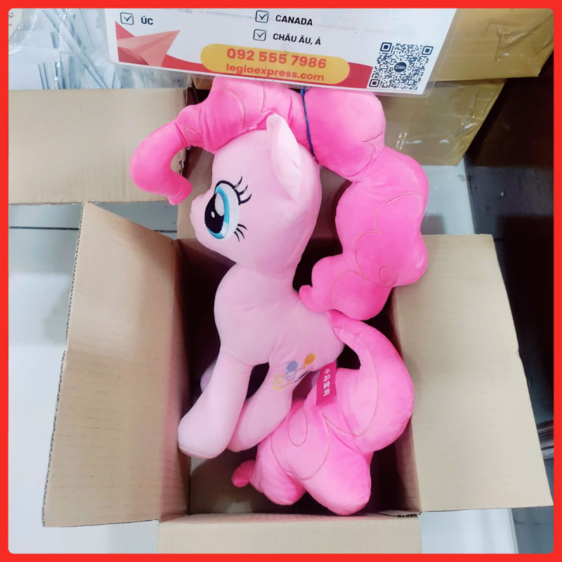 certificate-of-origin-c-o-legiaexpress-10