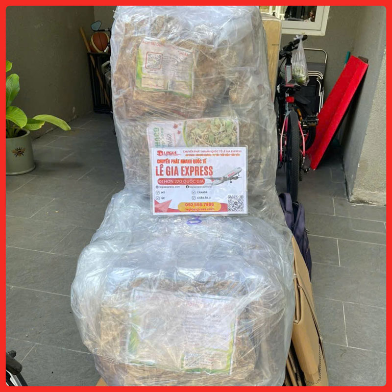 express-courier-legiaexpress-16