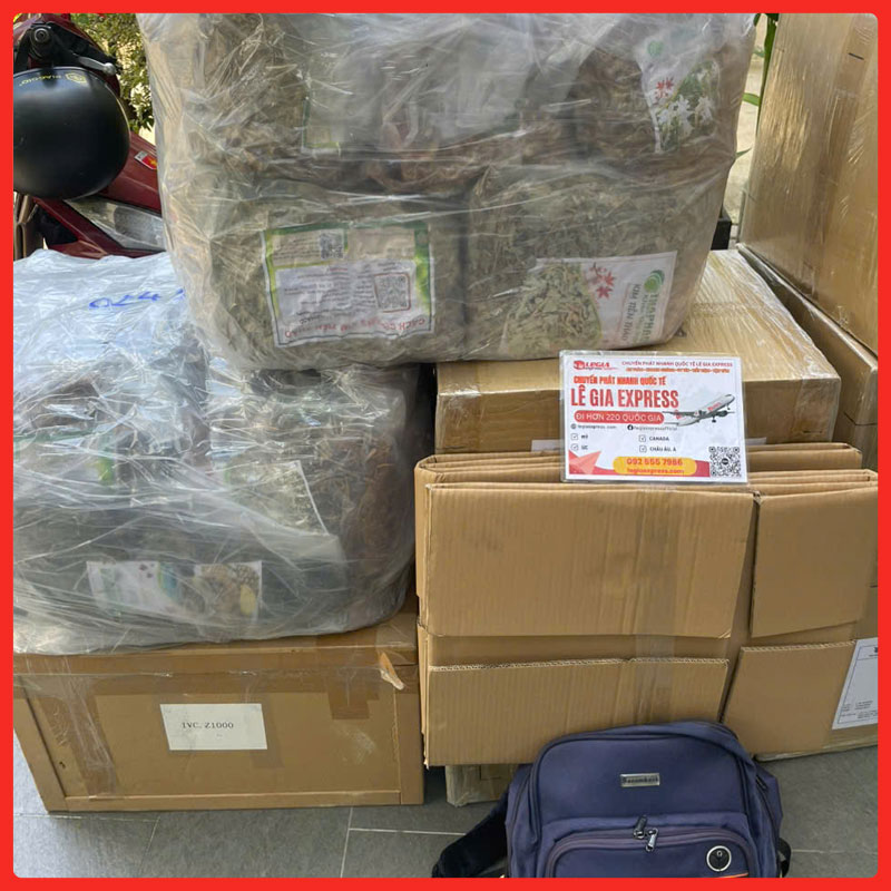 gui-hang-xach-tay-di-canada-legiaexpress-7