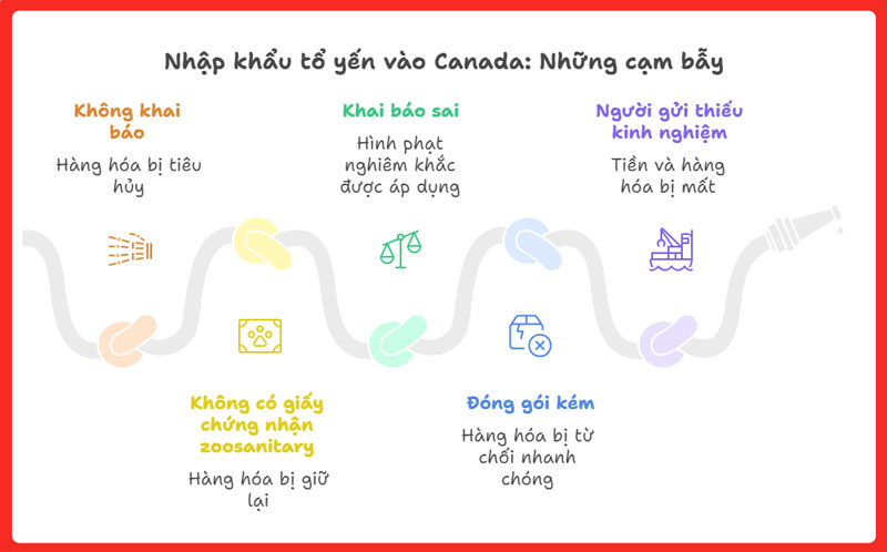 kinh-nghiem-khi-gui-yen-sao-di-canada-legiaexpress-8