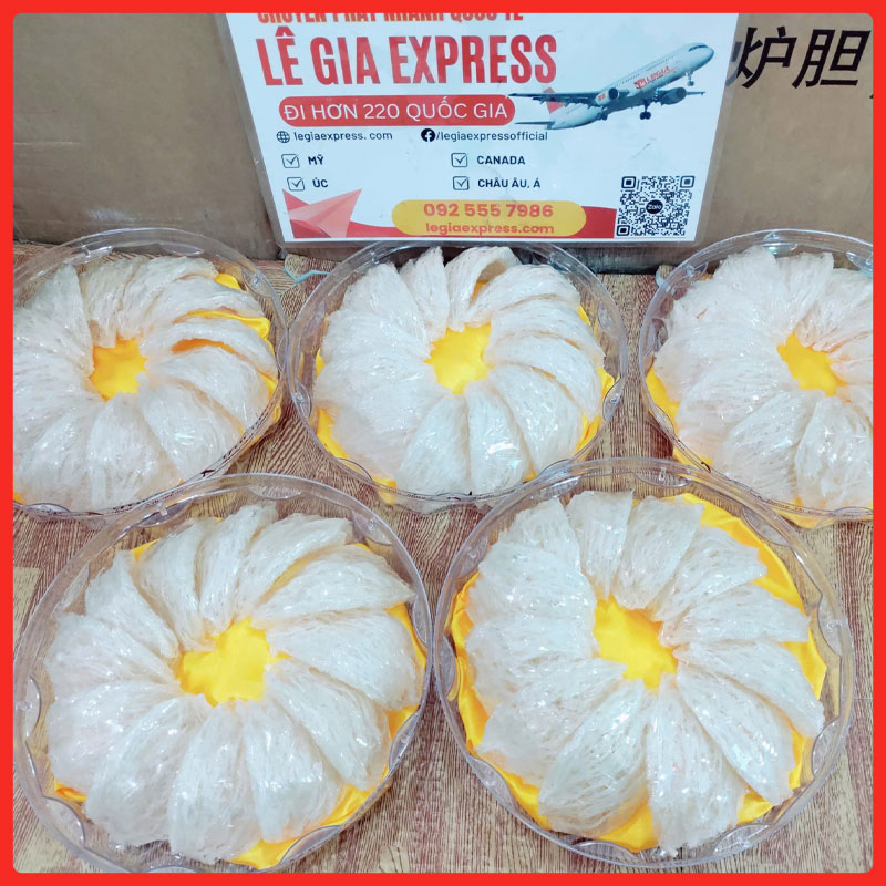 gui-hang-di-mexico-legiaexpress-8