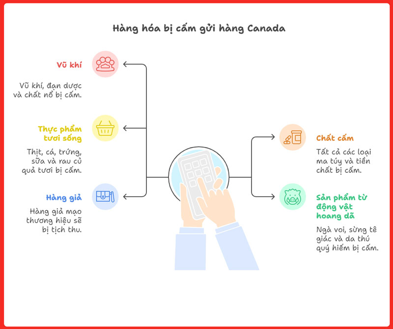 gui-hanh-ly-ca-nhan-di-canada-legiaexpress-10