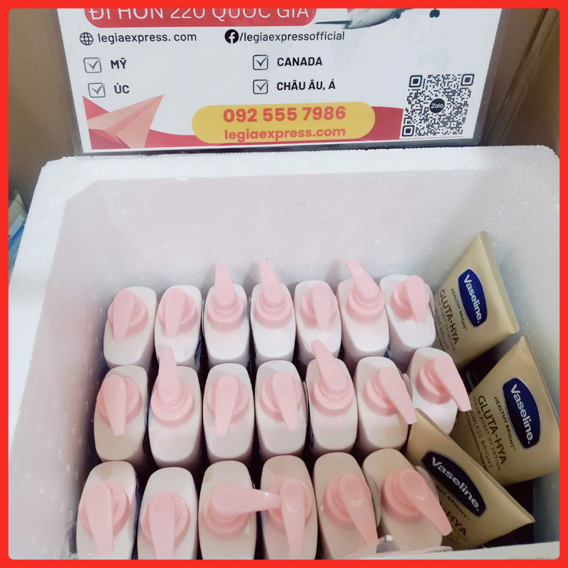 gui-my-pham-di-canada-legiaexpress-9