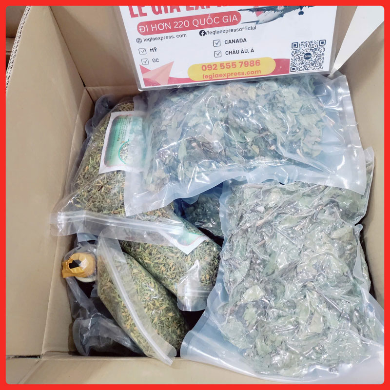 gui-hang-di-houston-legiaexpress-12