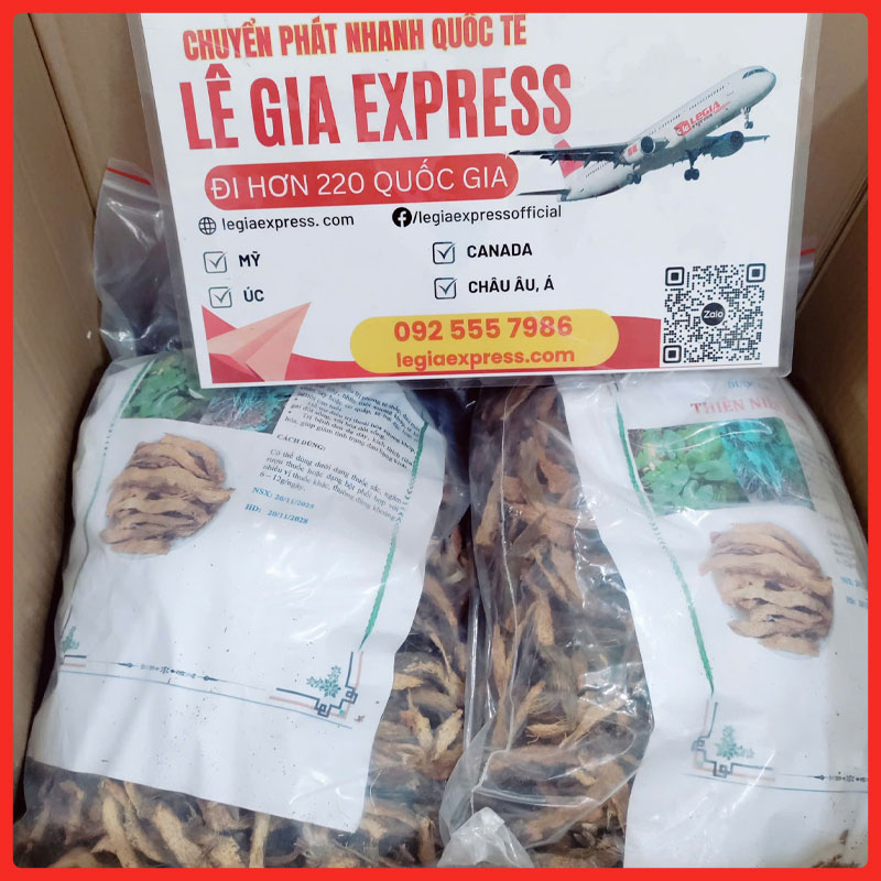 gui-hang-di-houston-legiaexpress-15