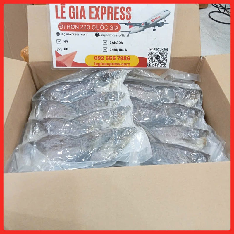 gui-hang-di-houston-legiaexpress-3