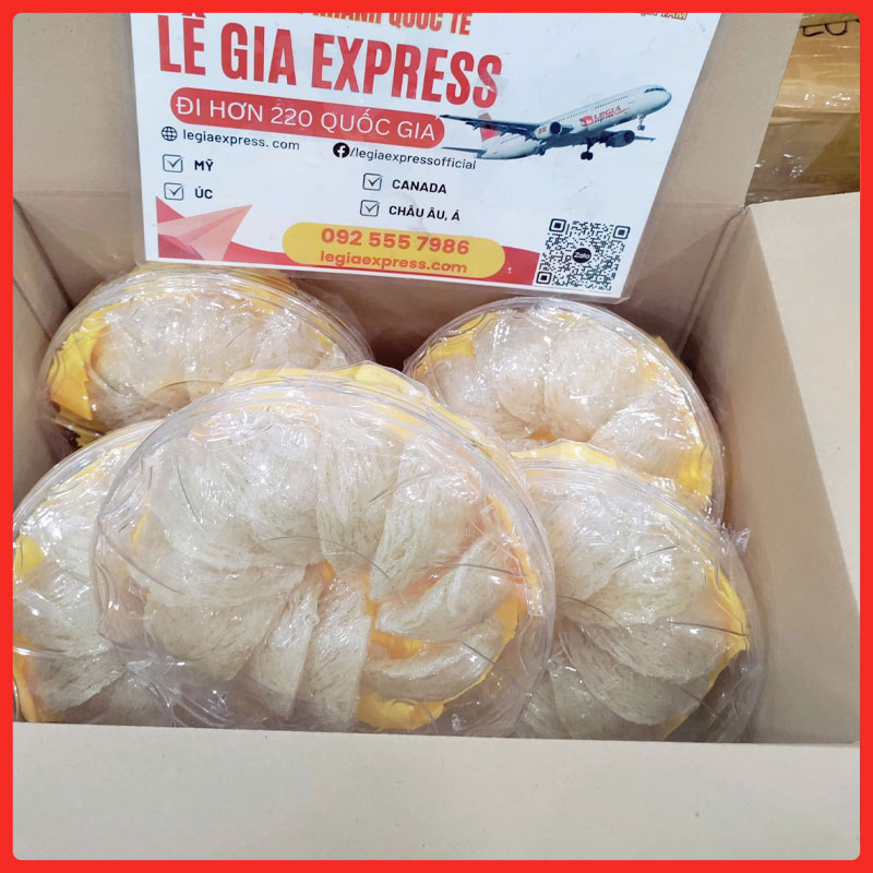 gui-hang-di-houston-legiaexpress-9