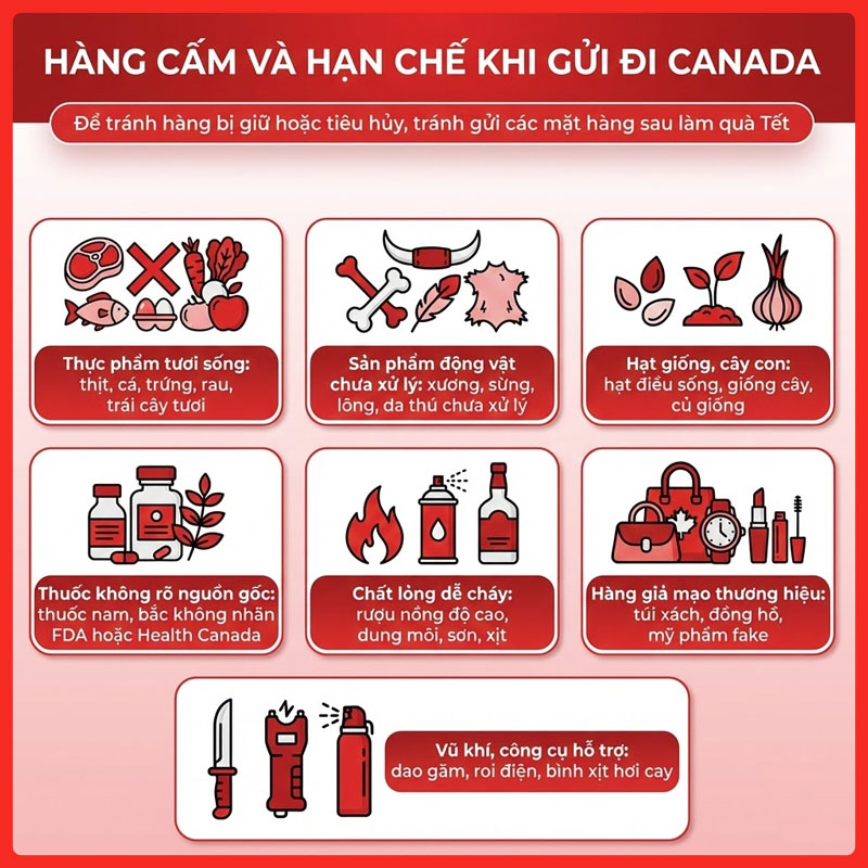 gui-qua-tet-di-canada-legiaexpress-8