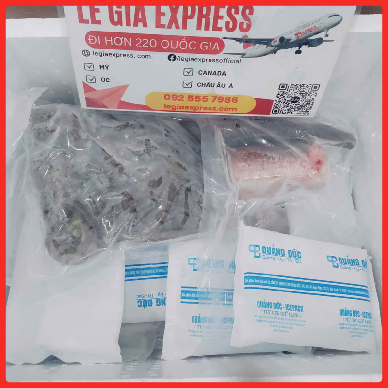 gui-thuc-pham-di-uc-legiaexpress-4