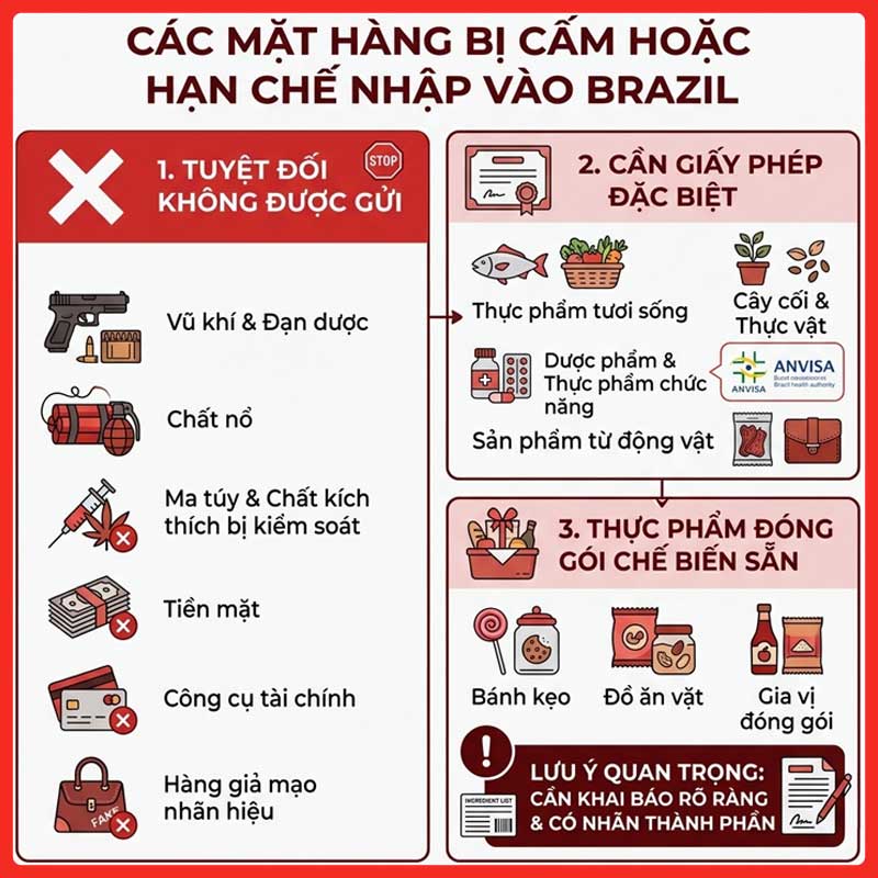 gui-hang-di-brazil-legiaexpress-9