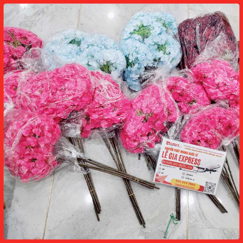 gui-hoa-gia-di-canada-legiaexpress-3