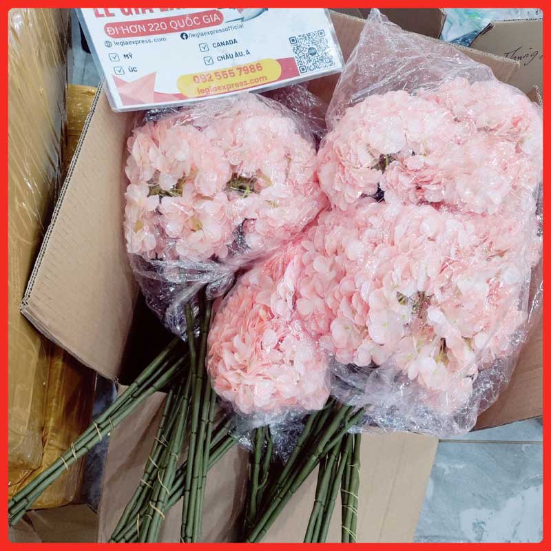 gui-hoa-gia-di-canada-legiaexpress-4