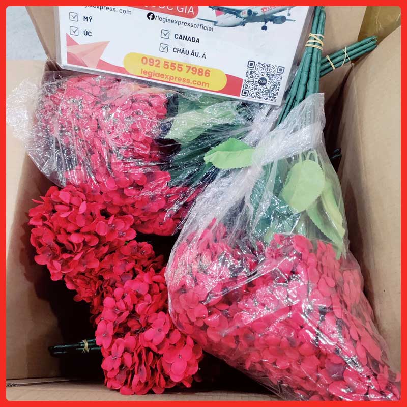 gui-hoa-gia-di-canada-legiaexpress-5