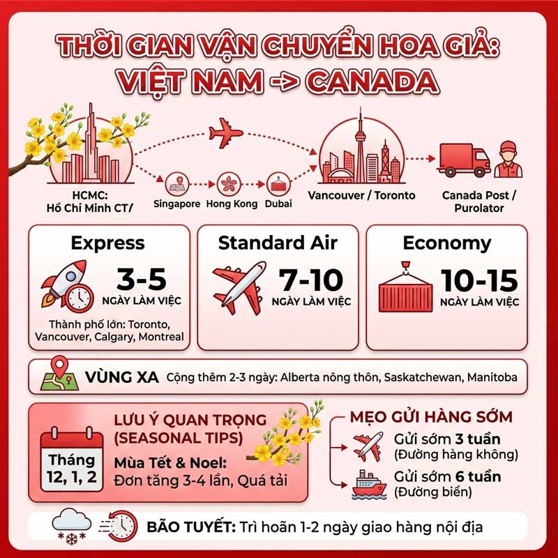 gui-hoa-gia-di-canada-legiaexpress-8