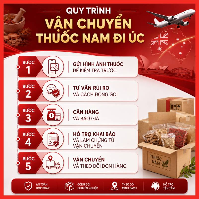gui-thuoc-nam-di-uc-legiaexpress-16