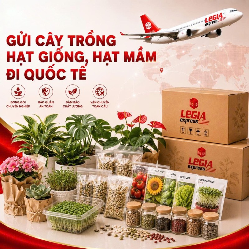 Banner-hat-giong-legiaexpress-1